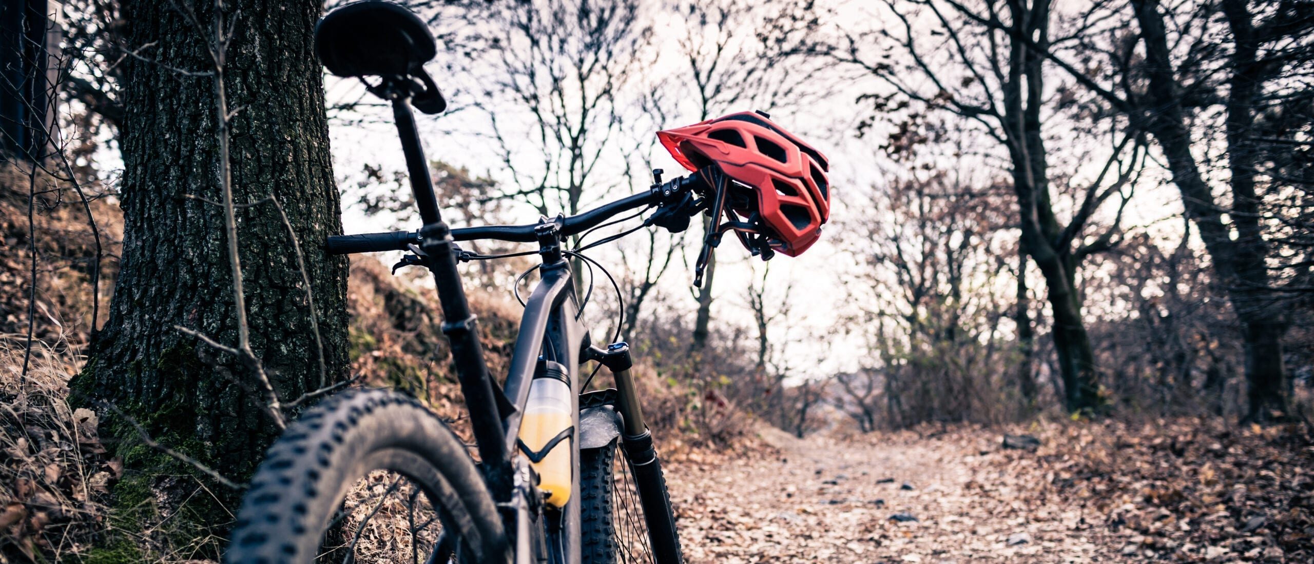 Mountain Biking