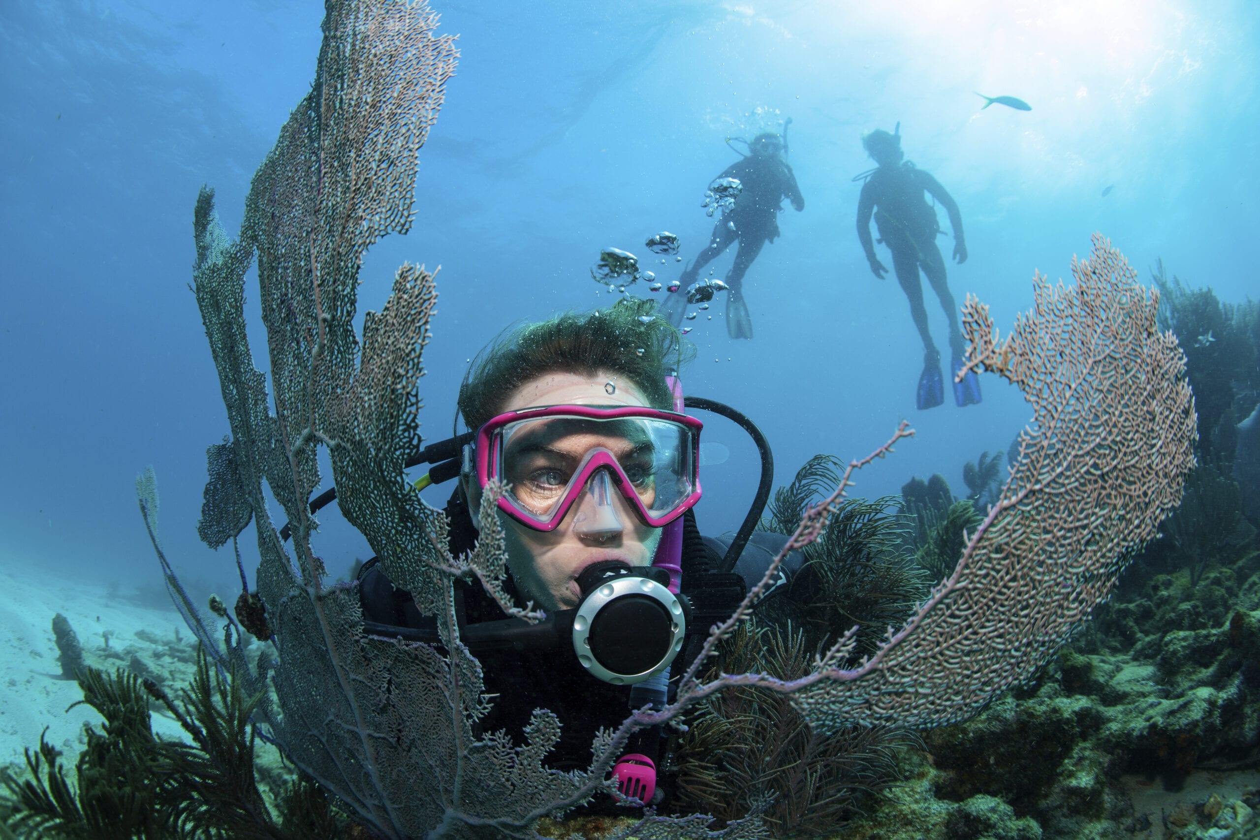 Scuba Diving
