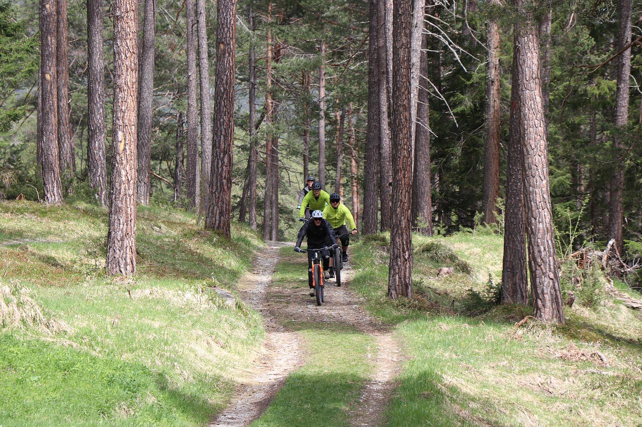 Swinley Forest Mountain Biking
