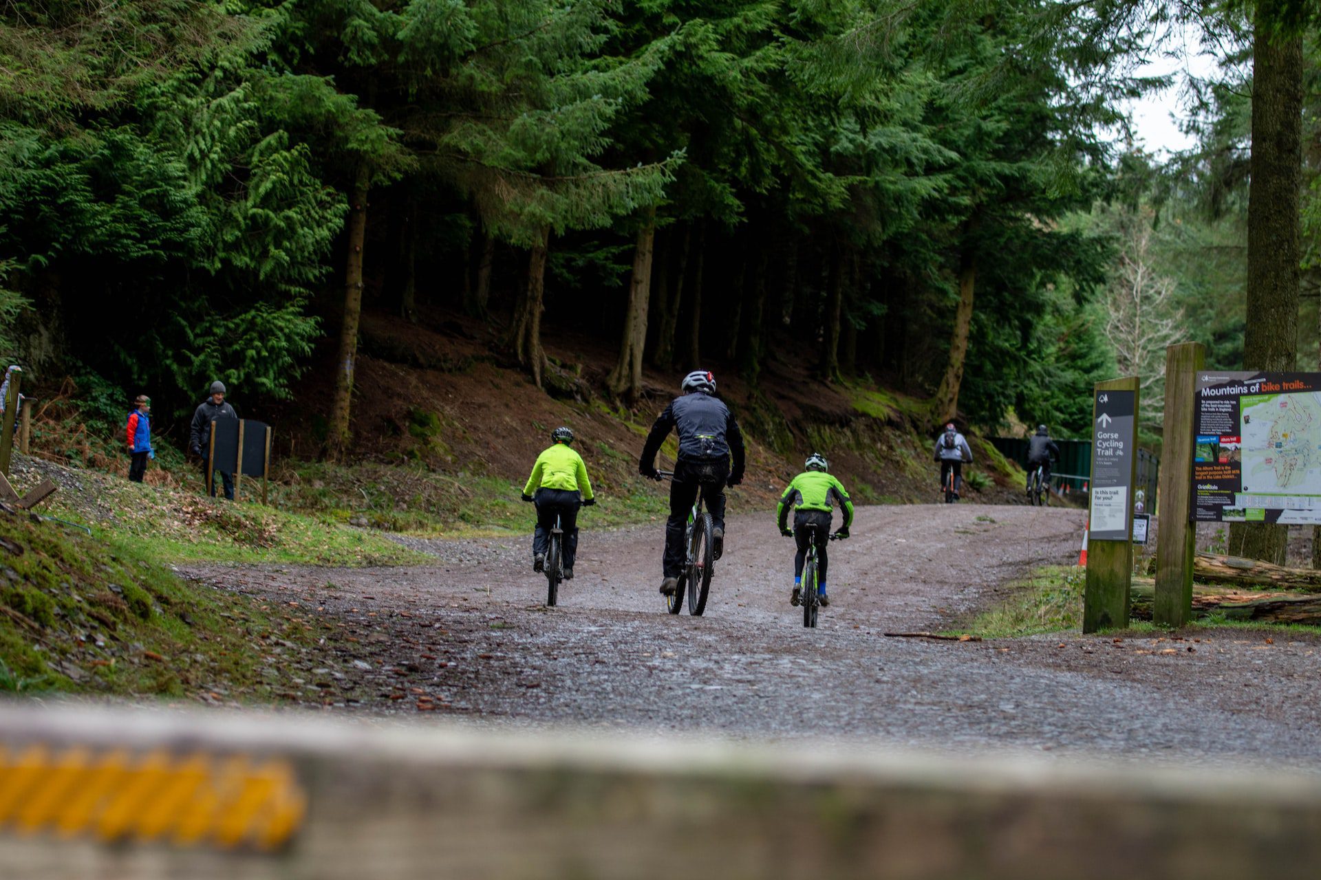Whinlatter Forest Park Mountain Biking Trails