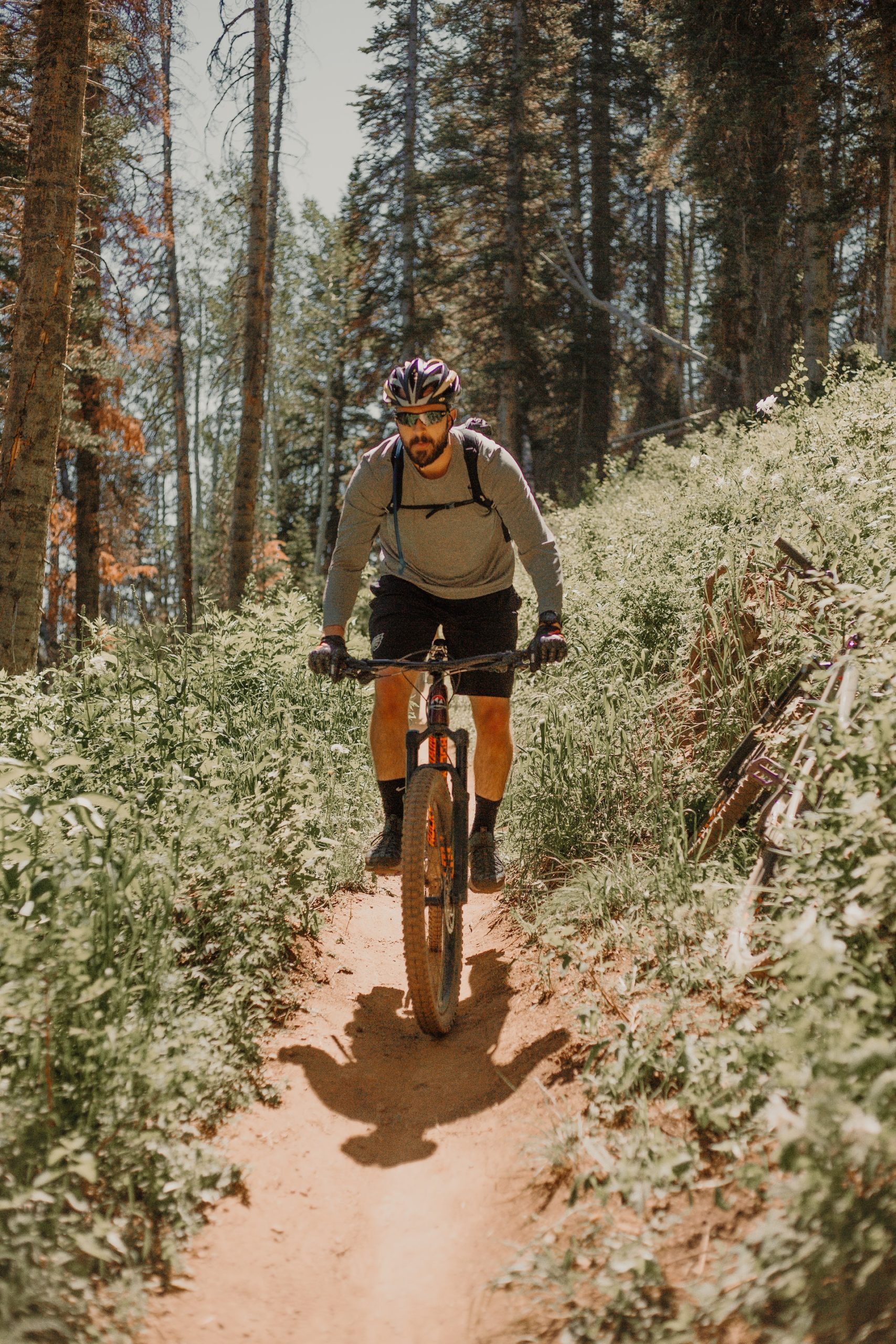 Cannock Chase Forest Mountain Biking