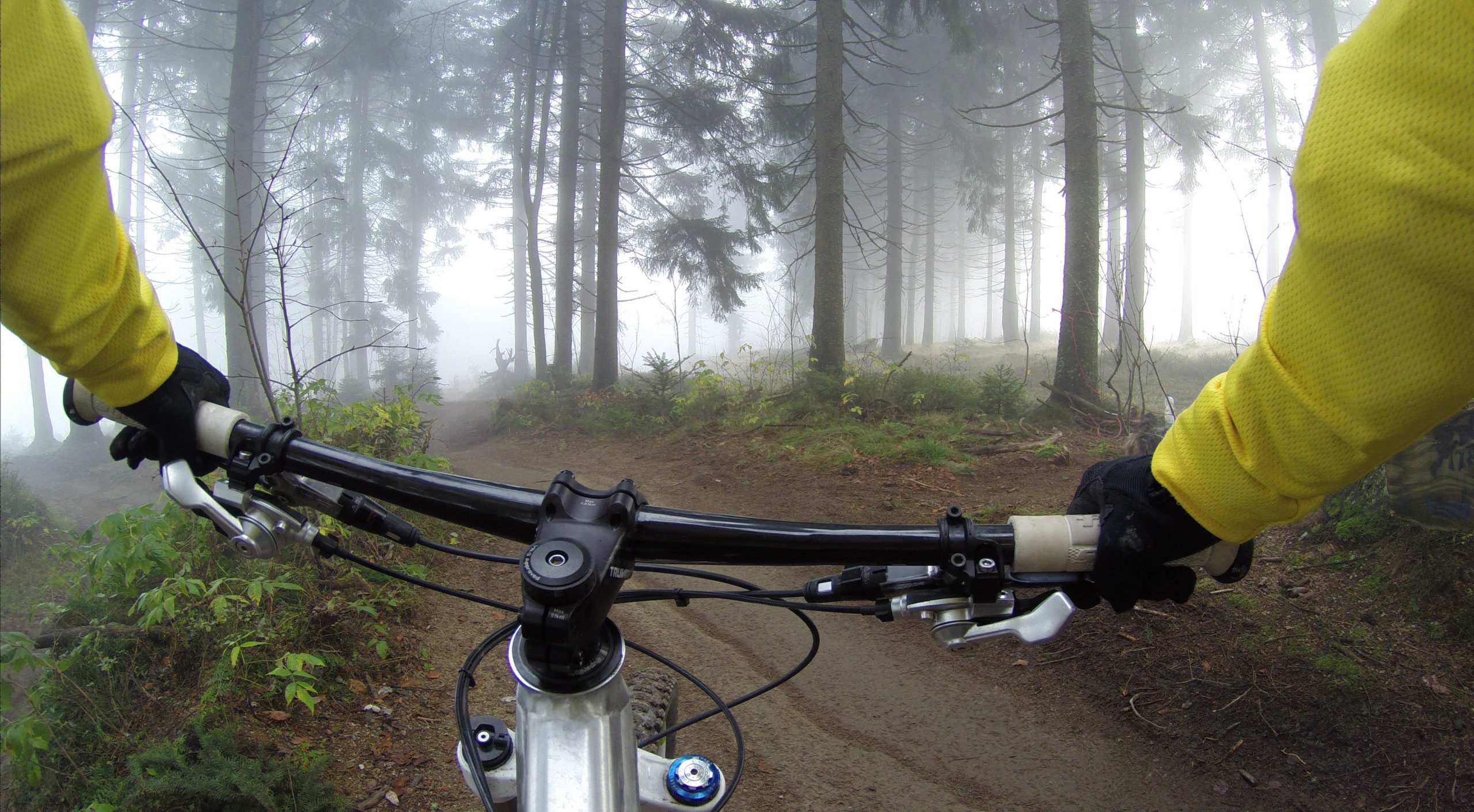 Bedgebury Forest Mountain Biking