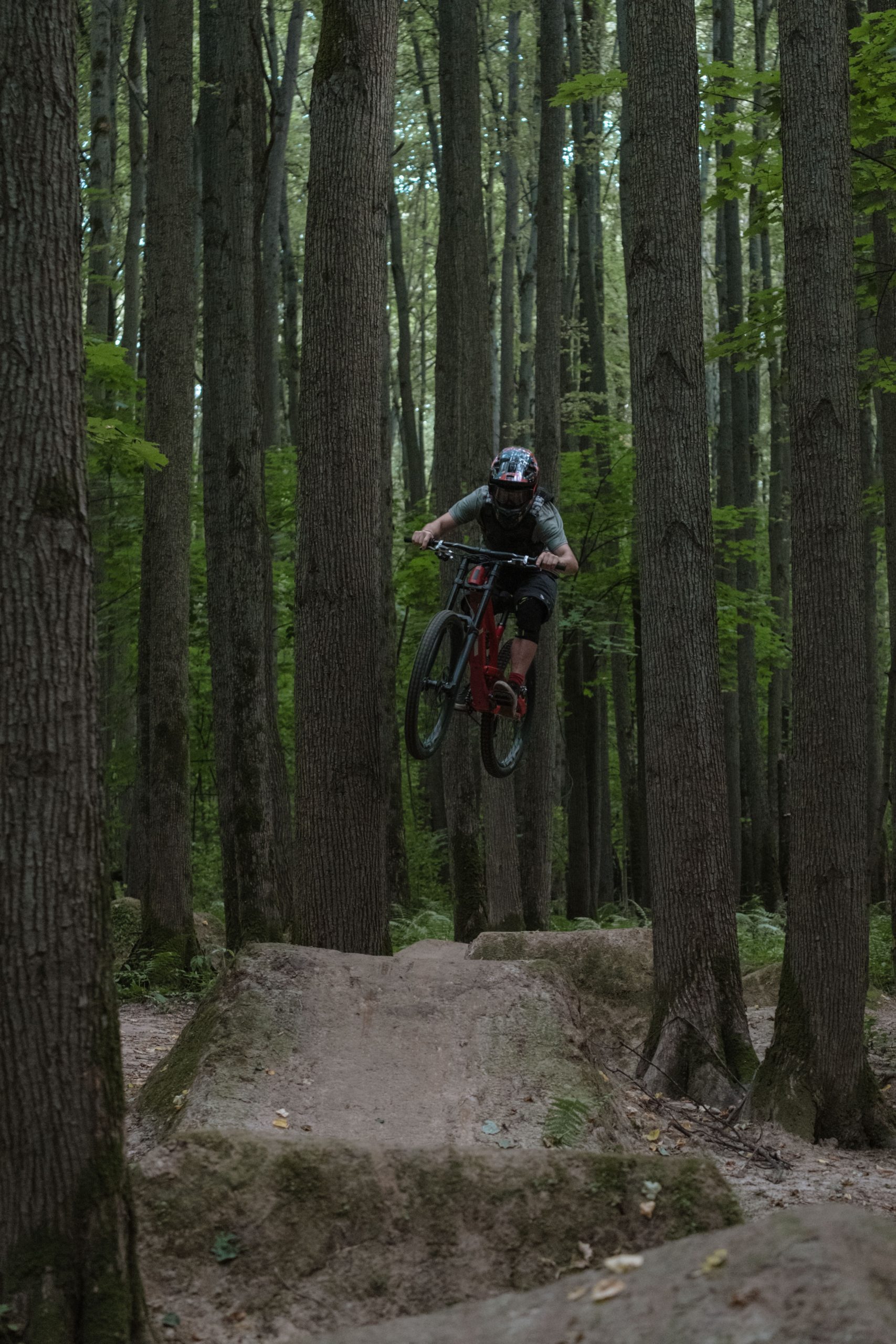 Forest of Dean Mountain Biking