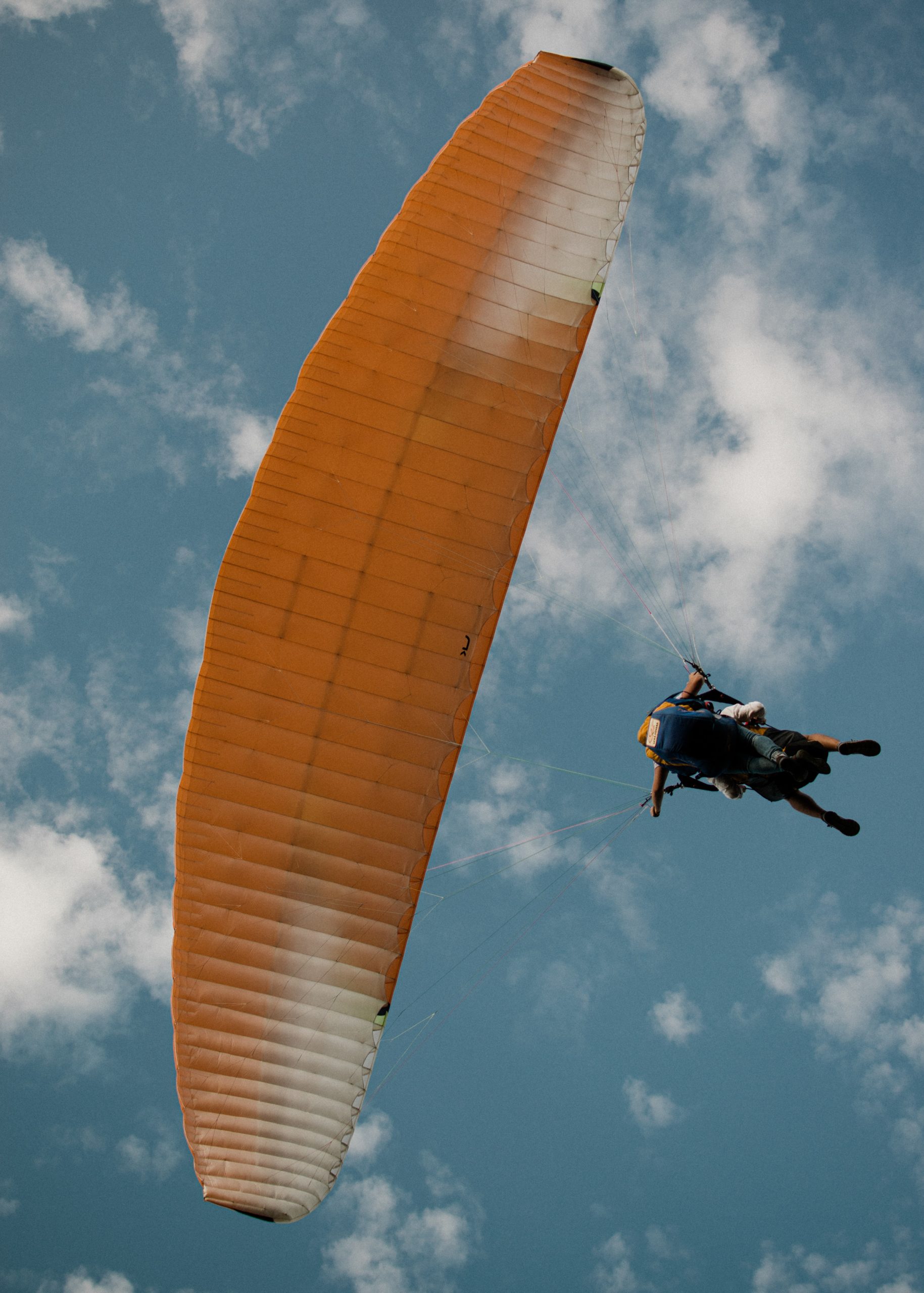 Flying Frenzy Paragliding
