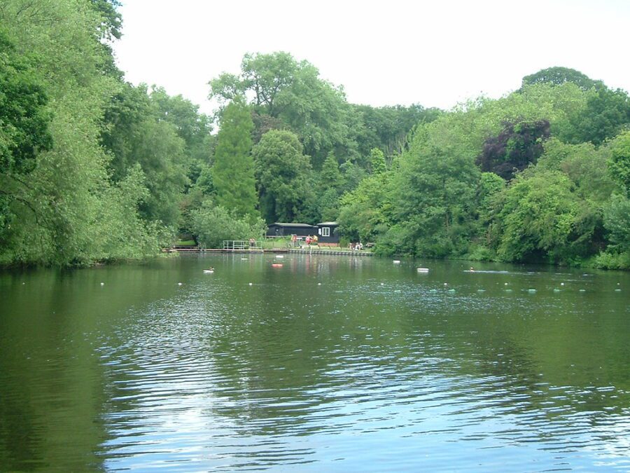 Wild Swimming on Hampstead Heath, London