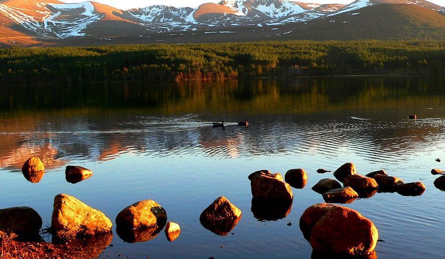 Paddleboarding on Loch Morlich, Cairngorms